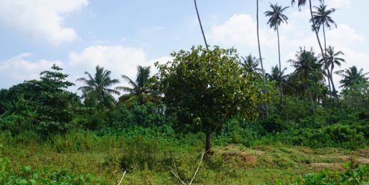 Perfect Property for a Balanced Lifestyle in Welhengoda