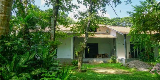 Spacious 87P Land with an Unfinished Villa Project- Meepe