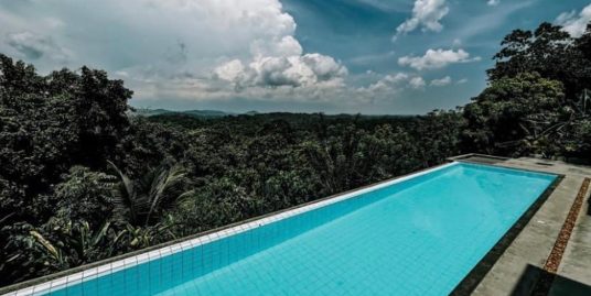 Heenitigale – Luxury Jungle Villa for Sale