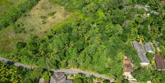 Own 220 Perches of Land with a Spectacular Paddy Field Backdrop