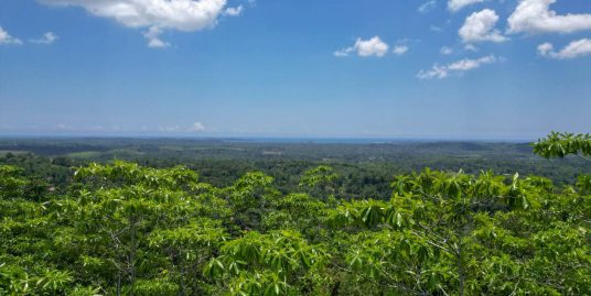 Exclusive 5.6-Acre Elevated Land with Ocean Views – Near Weligama