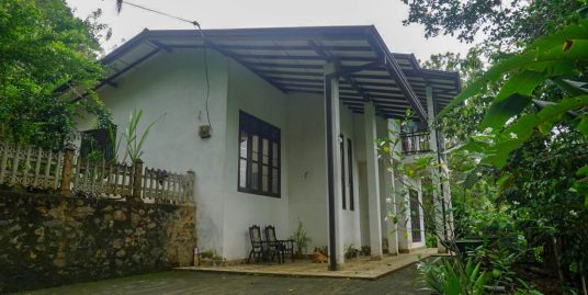 Stunning Paddy Views & Two Houses- Pilana