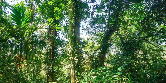 182P Land in Meepe, just 3km from Habaraduwa Beach