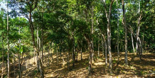 Elevated Land with Stunning Mountain & Jungle Views
