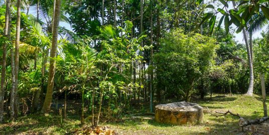 32 Perches of Land in Habaraduwa Ready for Updates