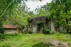 DSC09352