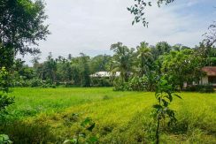 DSC09361