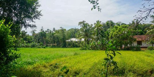Quiet & Accessible Land Near Ahangama Beach