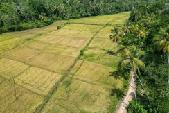 DJI_0081