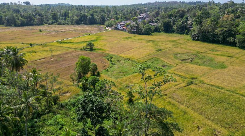 DJI_0082