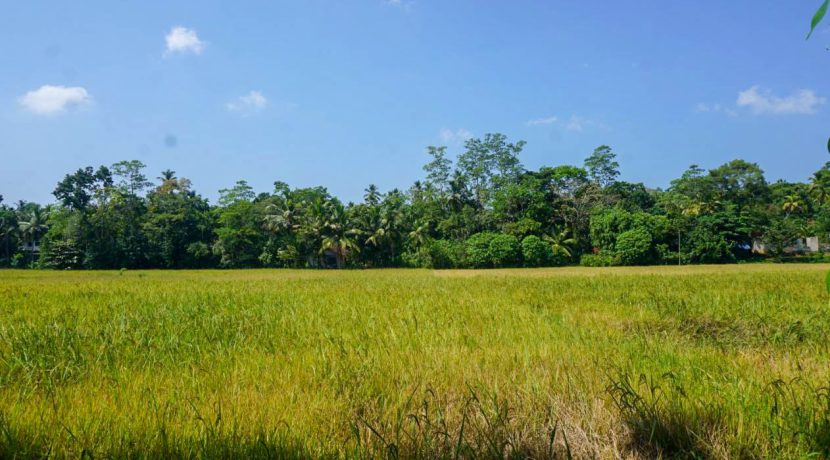 DSC09145
