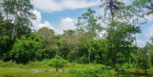 Bare Land 5 Minutes from the Beach- Ahangama