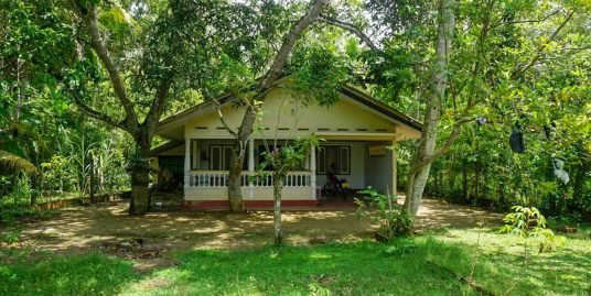 A House with 37 Perches Near Mihiripenna Beach