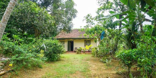 A 2-Bedroom House on Land Full of Natural Features