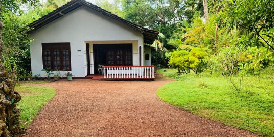 3-Bedroom House with Flexible Living Spaces for Rent