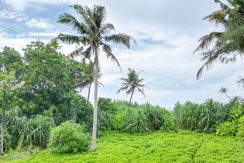 DJI_0038
