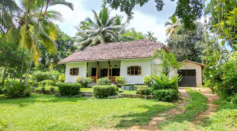 Old colonial House with Jungle and Paddy Views