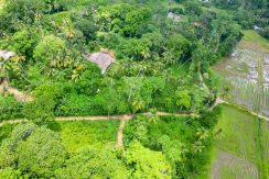 DJI_0208