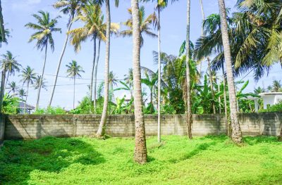 10 Perch Land for Sale in Walk to Ahangama Beach & Surf Spots