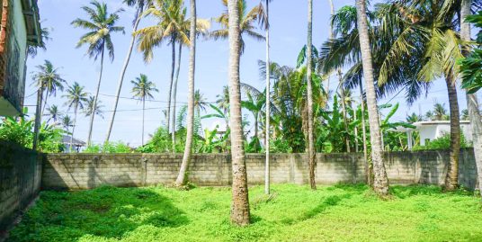 10 Perch Land for Sale in Walk to Ahangama Beach & Surf Spots