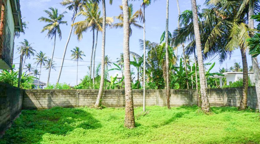 10 Perch Land for Sale in Walk to Ahangama Beach & Surf Spots