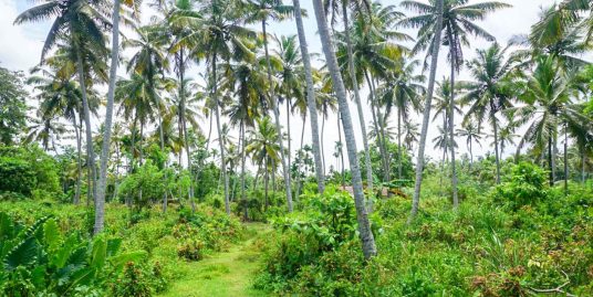 Land for Sale in Ahangama Just 900m from the Beach