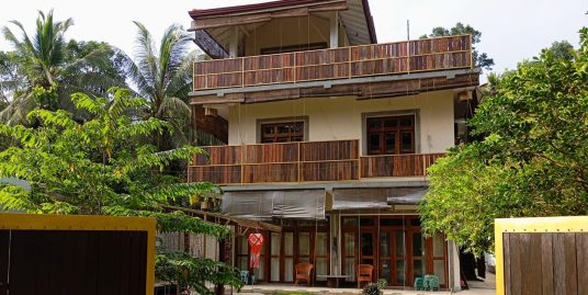 2 Apartment Villa for Sale in Hapugala