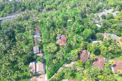 DJI_0966