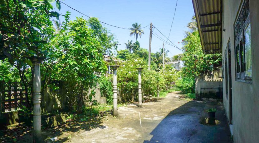 DSC00003