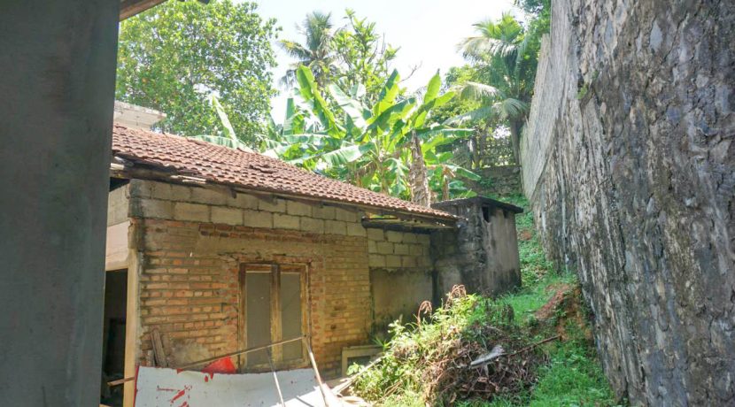 DSC00004