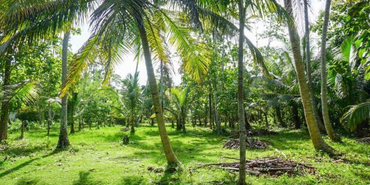 Bare Land for Sale Just 1km from the Beach