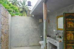 DSC00230