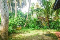 DSC00274