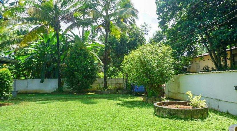 DSC00351