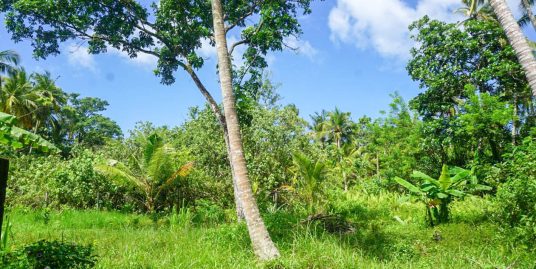 33P Budget Friendly Land in Habaraduwa