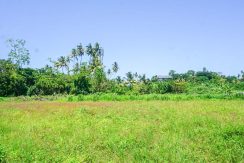 DSC00385