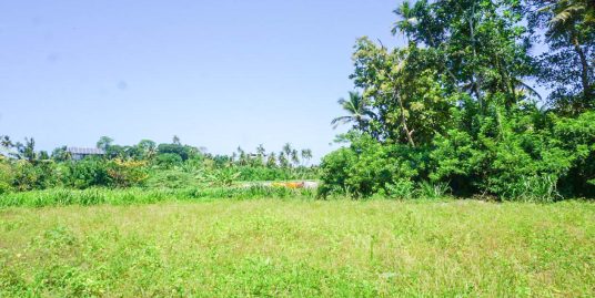Land with Easy Access to Surf and Beach Life