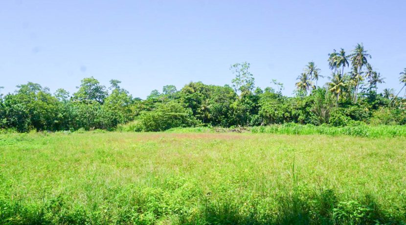 DSC00391