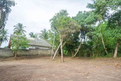 DSC08449