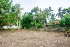 DSC08450