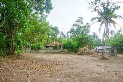DSC08453
