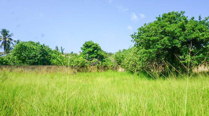 DSC09953