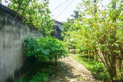 DSC09998