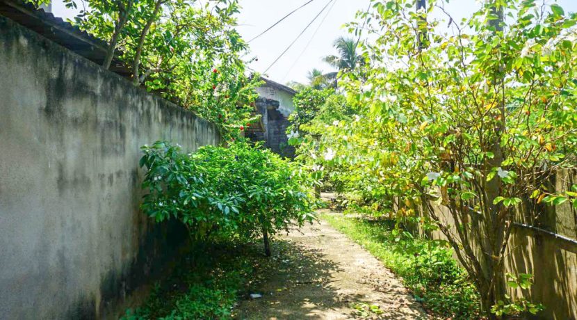DSC09998