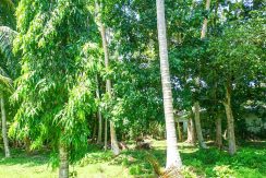 DSC00704