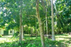 DSC00717