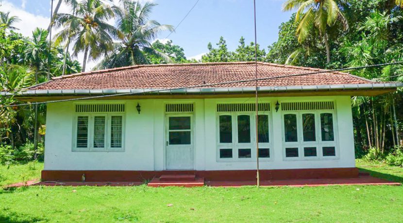 DSC00725