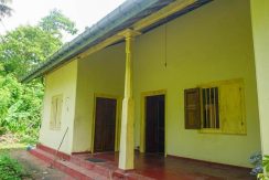 DSC00950