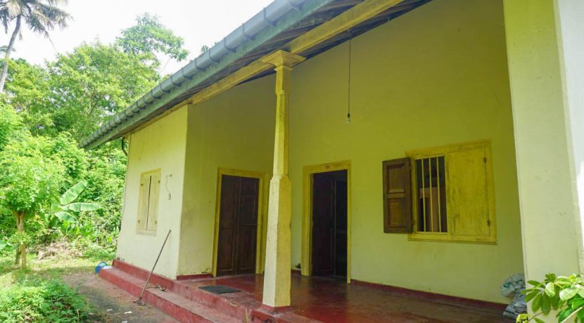 DSC00950
