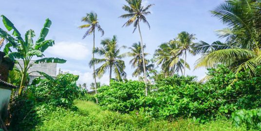 Land Within Walking Distance to the Beach